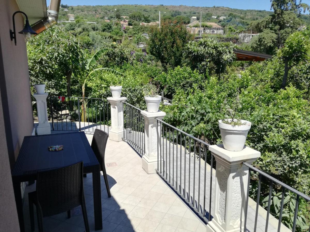Il Limoneto Di Leo Villa Mascali Luaran gambar