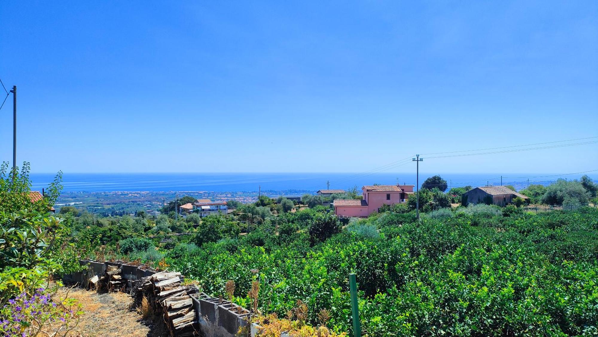 Il Limoneto Di Leo Villa Mascali Luaran gambar